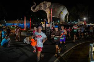 BIB: 
                            <button type="button" onclick="openModal(26552317)" class="btn btn-primary btn-sm float-right btn-popup" data-toggle="modal" data-target=".modal-high-quality">
                        <i class="fas fa-shopping-cart"></i> Add to Cart
                    </button>
                                            <button type="button" onclick="isThisMe(26552317, true)" class="btn btn-success btn-sm float-right btn-popup btn-isme hidden" data-toggle="tooltip" data-placement="bottom" title="นี่คือรูปของคุณใช่ไหม คลิกที่นี่เพื่อเอาเข้าอัลบั้ม">
                        <i class="fas fa-plus"></i> Add to album
                    </button>
                    <button type="button" onclick="isThisMe(26552317, false)" class="btn btn-warning btn-sm float-right btn-popup btn-isnotme hidden">
                        <i class="fas fa-ban"></i> Remove from album
                    </button>